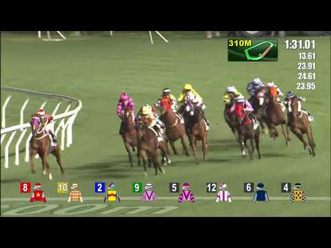 9/3/2022 (482) Telecom Cheetah / Lucky Missile -  Z Purton / J Moreira (Dead Heat!)