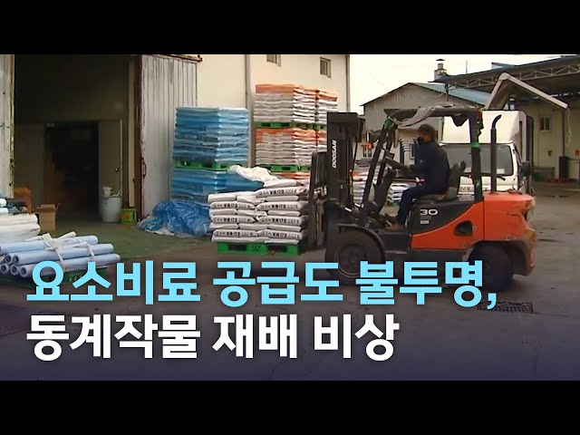 요소비료 공급도 불투명, 동계작물 재배 비상