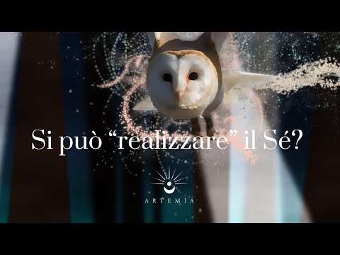 Si può "realizzare" il Sé? - Stefano Riccesi