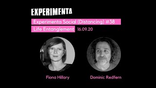 Experimenta Social (Distancing) #38: Life Entanglement