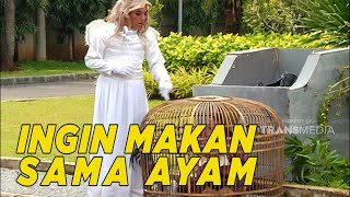 Download lagu Aku pengen makan Ayam ibu peri | SKETSA mp3