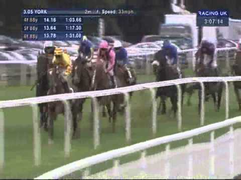 2012 Weatherbys Insurance Lonsdale Cup - Times Up