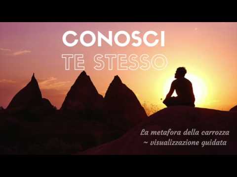 Look Inside Yourself with the Carriage Metaphor (guided visualization)