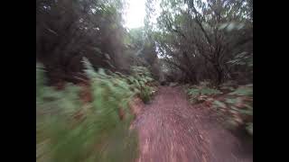 Eolienbiketour Single track Isola di Lipari