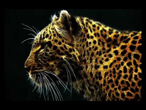 Korsakoff Feat Isotop and D-Struct - Kaiza