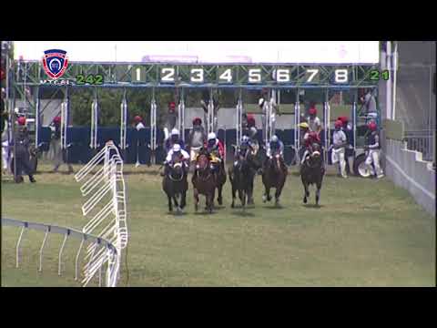 The Tales Of Bravery Plate | Remus | I.Santana