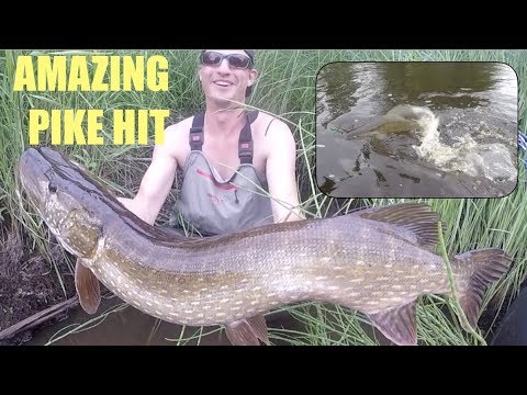 Hard work paid off -  Crazy top water PIKE HIT - Pike Fishing - Gädda - Snoek - Hecht - Brochet
