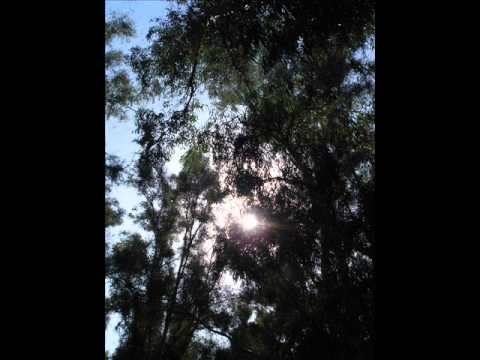 David Eshet- Tsvey Gitares (Two Guitars)