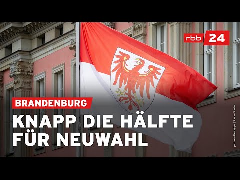 Umfrage in Brandenburg: Neuer Höchstwert für AfD