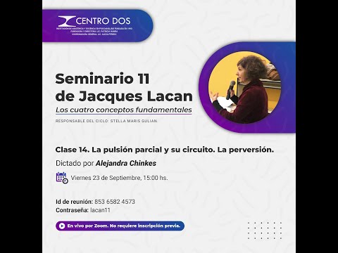 Seminario 11 de Jacques Lacan - Alejandra Chinkes: Clase 14.