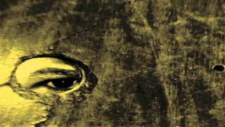 Boom Bip - The Birdcatcher