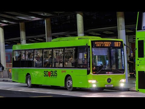 [!! Cross Refurbished Rare Cameo Debut !!] SMRT Buses 187 Mercedes Benz OC500LE (Batch 2)