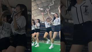 #shorts 《台湾プロ野球 チアリーダー》アジアプロ野球チャンピオンシップ　台湾チア　　Team taiwan APBC2023  啦啦隊 東京ドーム　④《BraveTV》