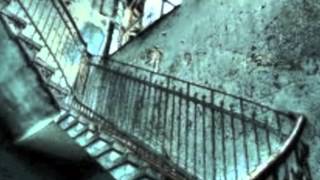 peter fox kopf verloren