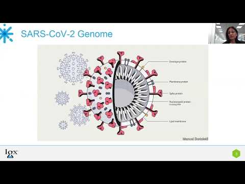 Overview of IGeneX COVID-19 PCR and Antibody testing