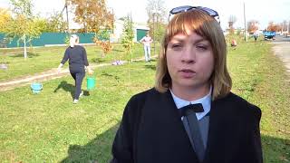 Держслужбовці Жмеринки висадили 100 дерев