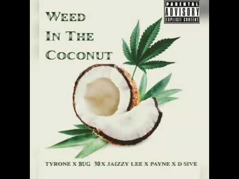 Tyrone ×Bug 30×Jaizzy Lee×Payne×D5ive - Weed In The Coconut