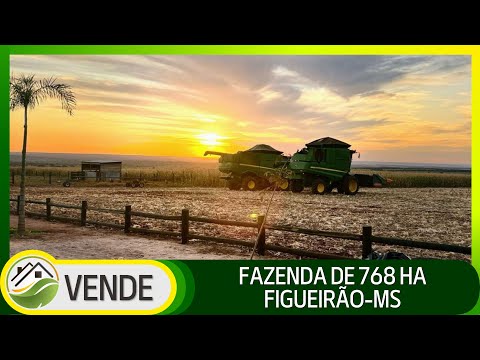 FAZENDA DE 768 HA NO MATO GROSSO DO SUL