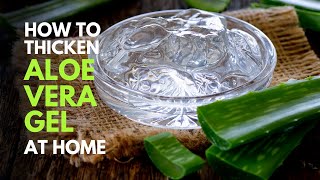 How To Thicken Aloe vera Gel at Home Similar To Those Sold in Stores