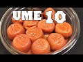 10 Ways to Use Ume Japanese Pickled Plum
