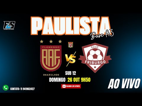 CAMPEONATO PAULISTA DE FUTSAL BASE A3 - AA FLAMENGO X FRIBURGO SUB 12 - QUARTAS DE FINAIS