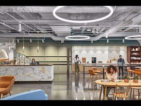 An elegant new orchid hiding in plain sight