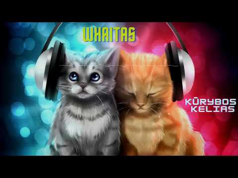 Whaitas - Kūrybos kelias lyrics video (prod.by MK)