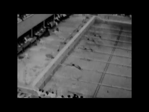 1959. Japan. Waseda-Keio match. Swimming competition 1500m. Olympic athlete.