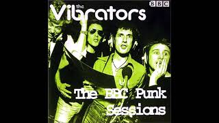 The Vibrators - Jenny Jenny (John Peel 28.10.76)