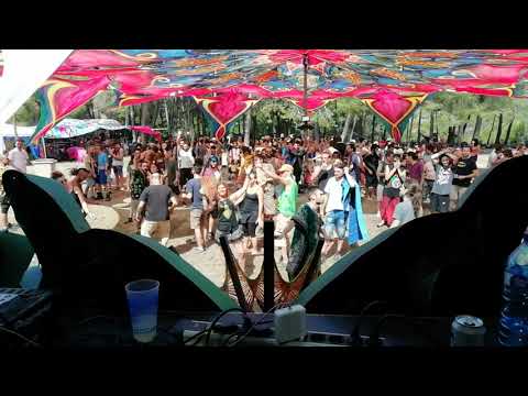 Celestial Intelligence Live @ Solstice Gathering 2019