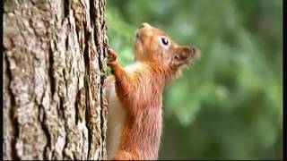 Beatrix Potter - 150 years on (Cumbria - England) - BBC - 24th July 2016