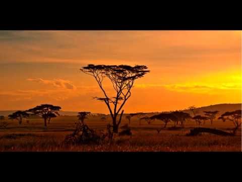 WENDAABO - Afriki