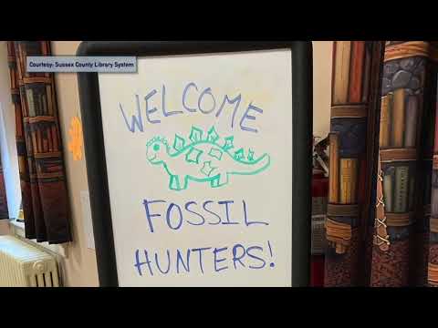 Sussex County Library Dinovember