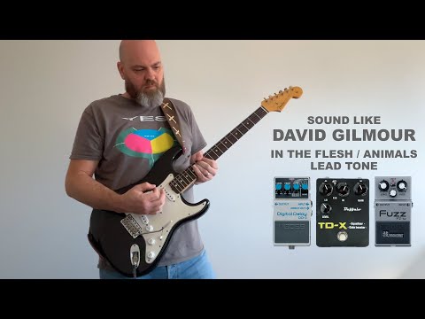 Get David Gilmour's Live Tone with a Boss FZ-1w