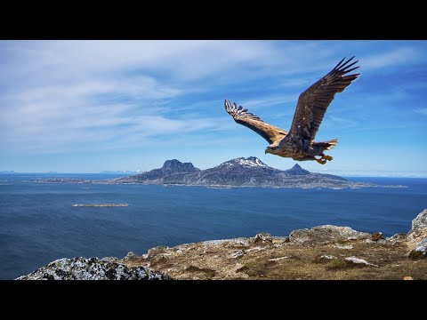 Visiting Bodø - The World's Strongest Tidal Current, a Double Beach and Our Worst Travel Mistake!