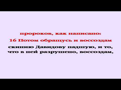 Видеобиблия. Деяния Апостолов. Глава 15