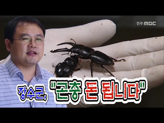 장수군 곤충산업 육성, 지역 신산업될까?