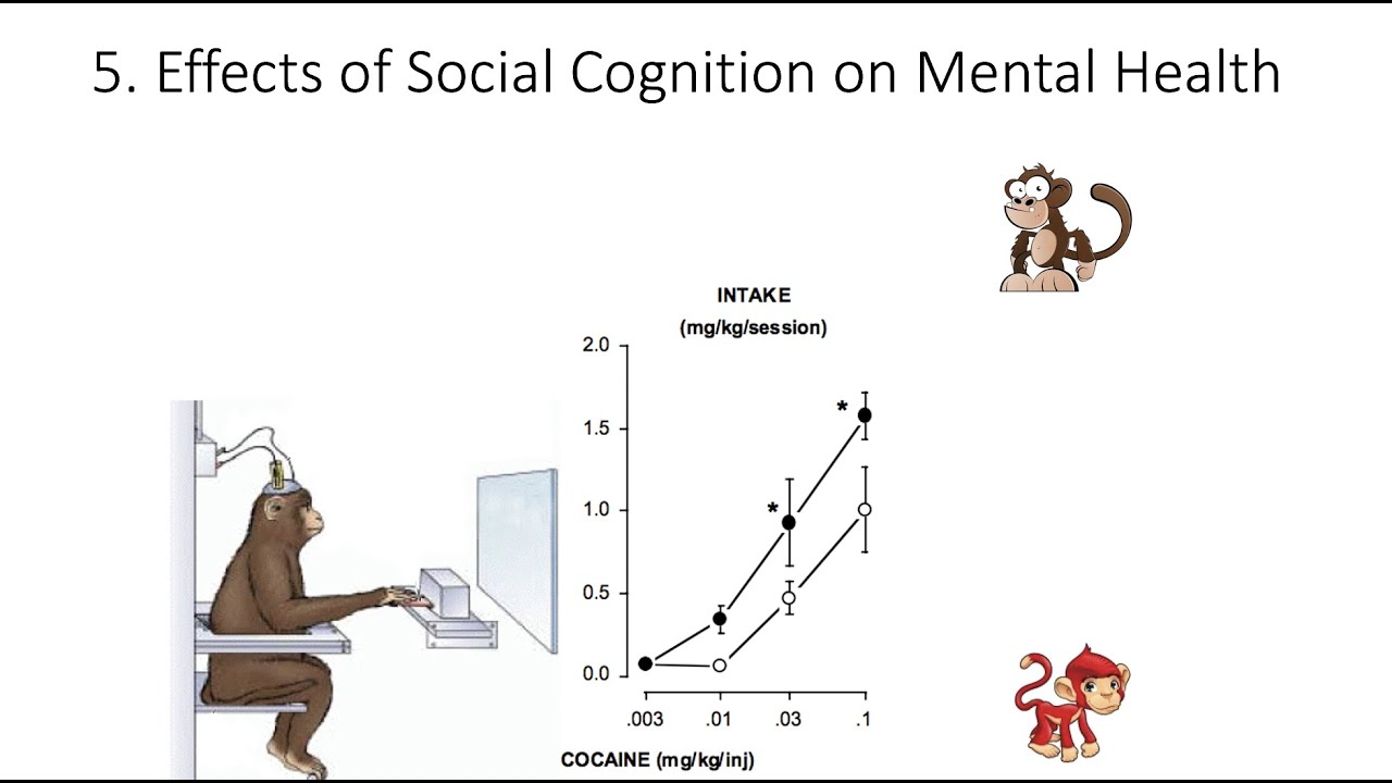 10.5. Social Cognition and Mental Health, Fundamentals of Cognitive Neuroscience Course, Session 10