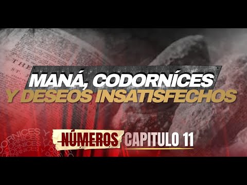 EXPLANATION NUMBERS CHAPTER 11 #biblia