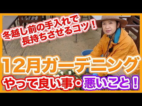 冬にキョウチクトウを鉢に入れる方法は？冬に備えて寒さや霜から守るための3つのヒント?  庭園