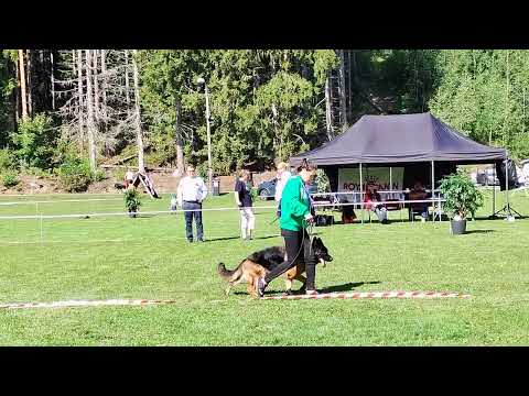 - n 110 +TEAM LEIKSAID WANESSA FI46478/18 TSB riittämätön