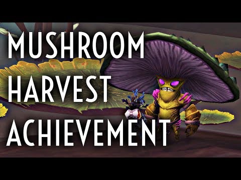 WoW Guide - Mushroom Harvest - Achievement