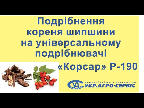 Дистальный лучевой сустав Боль в правом боку отдает в спину и температура