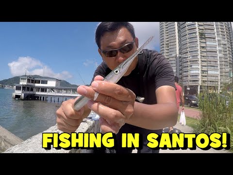 Fishing the BAÍA DE SANTOS with my CHILDHOOD REEL...!!! (SP EP2)