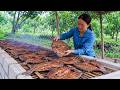 Nurse Buys 50kg of Fish - Unaware Vũ Is Hiding the Truth About Her Ex-Husband