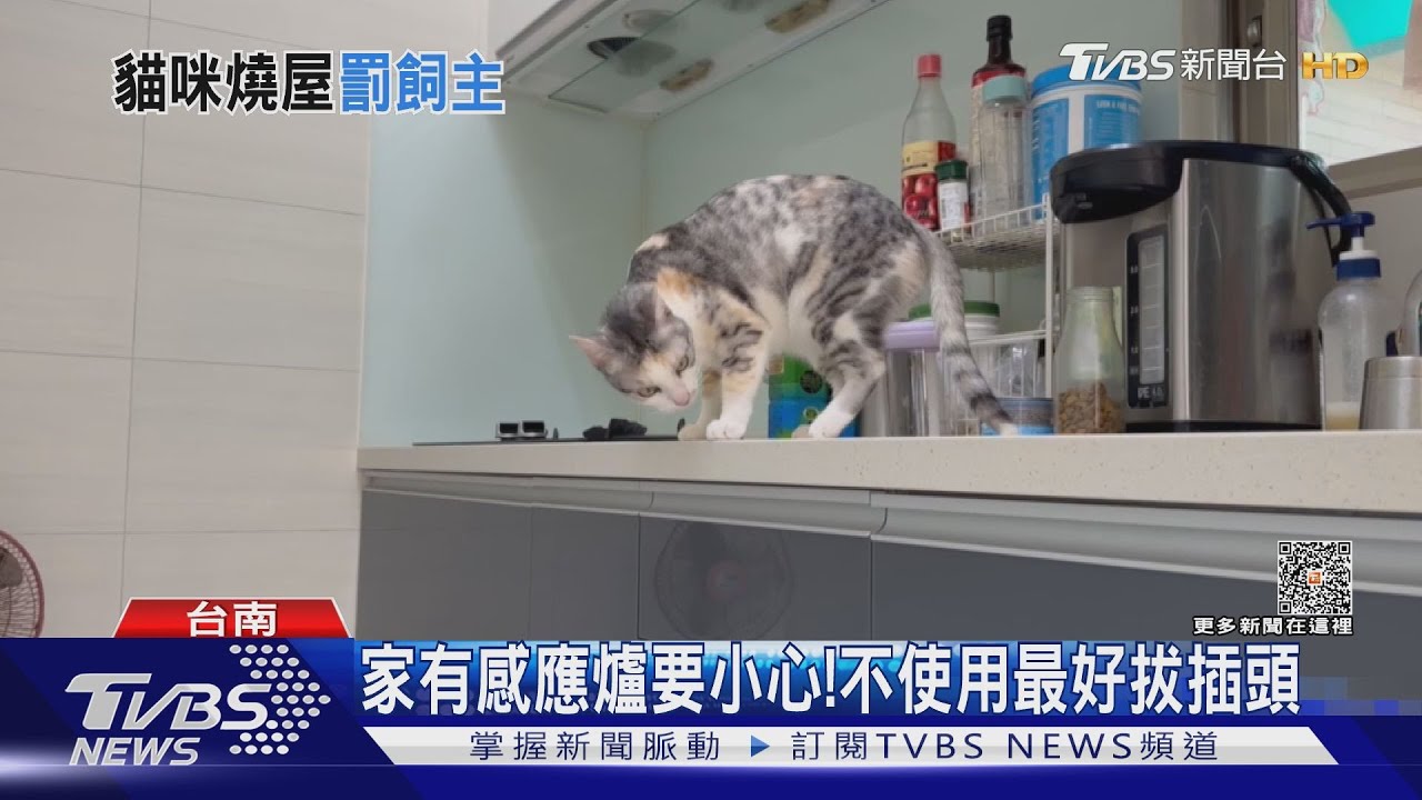 獨留貓星人在家!觸動感應爐釀火警 剷屎官「失火罪」被起訴