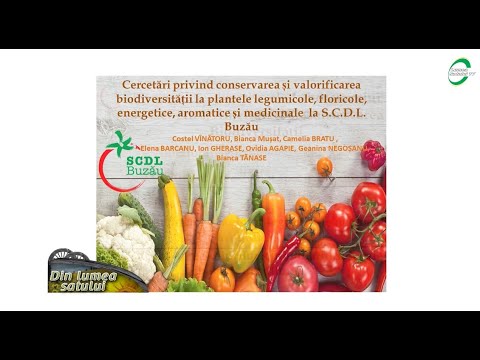 , title : 'Semințe de legume cu gust - SCDL Buzău'