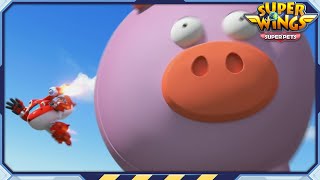 [SUPERWINGS5 HL] Runaway Piggy Bank and more | Superwings Superpets | Highlight S5 EP22~24