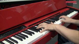 Video thumbnail for ROLAND F-110 PR by session