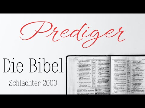 Das Buch Prediger - Die Bibel als Hörbuch (Schlachter 2000)